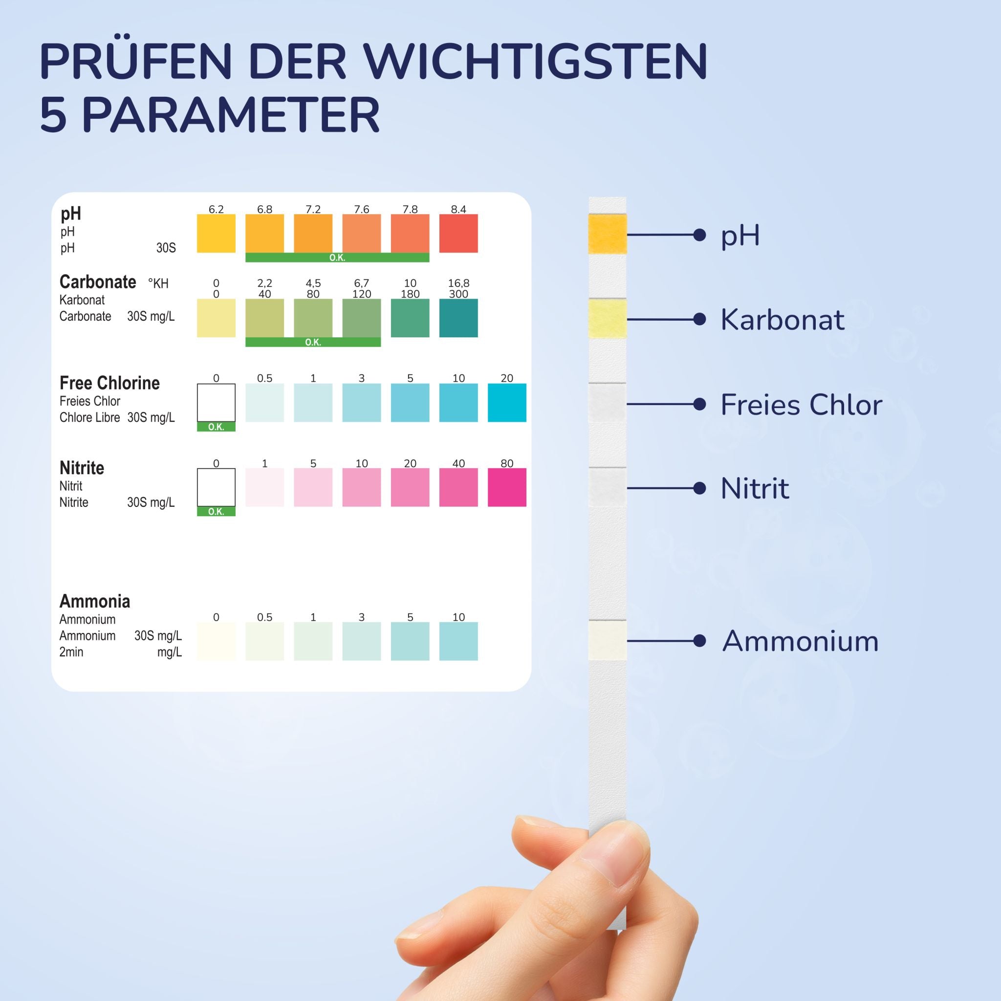 Farbskala der 5 Parameter: pH, Karbonat, freies Chlor, Nitrit, Ammonium