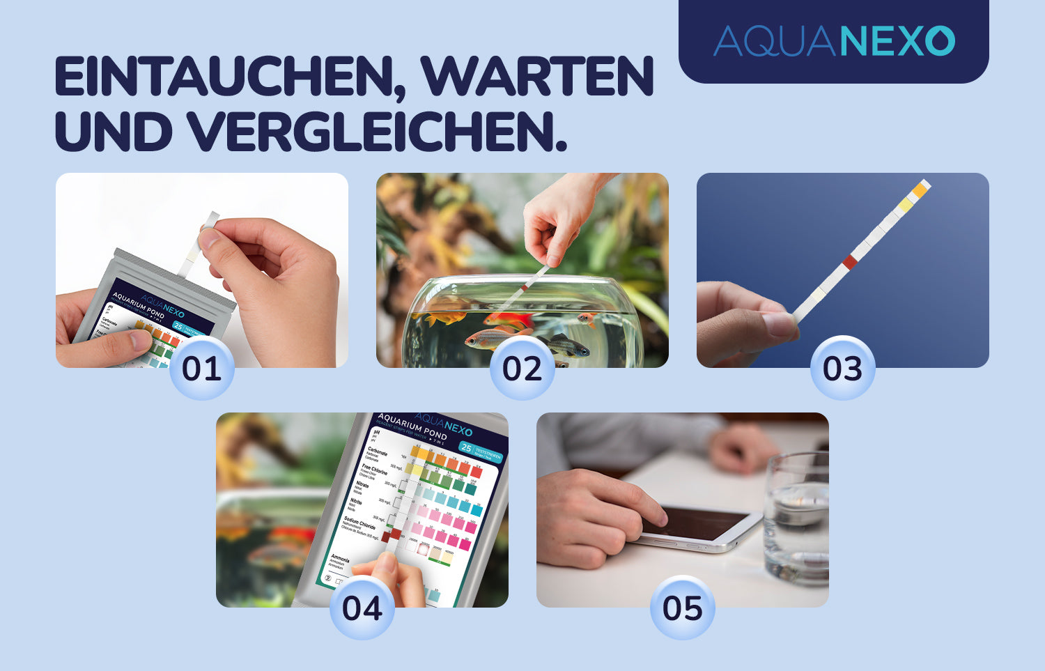 Aquariumwasser Teststreifen Anleitung – Aquanexo