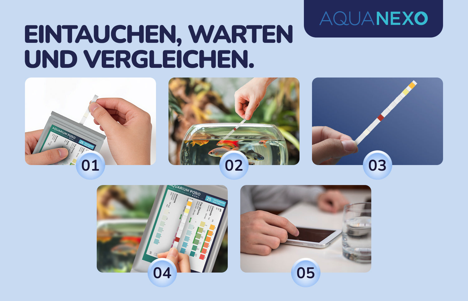 Aquariumwasser Teststreifen Anwendung 5in1 – Aquanexo
