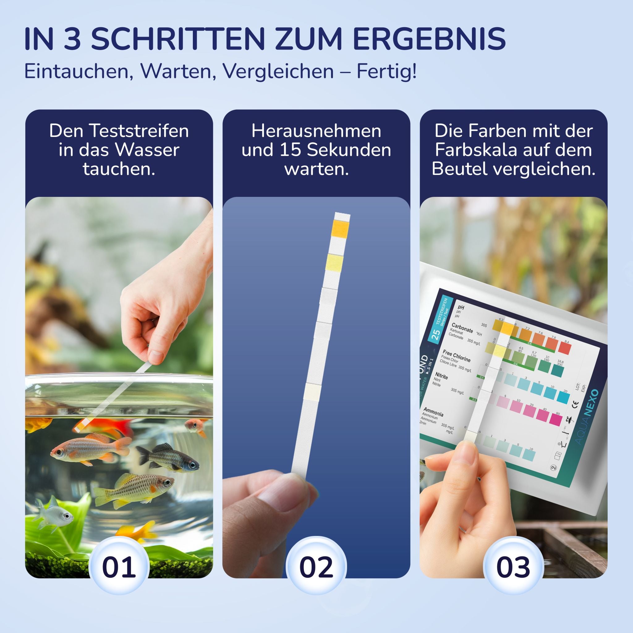 In 3 Schritten zum Ergebnis: eintauchen, warten, mit Farbskala vergleichen