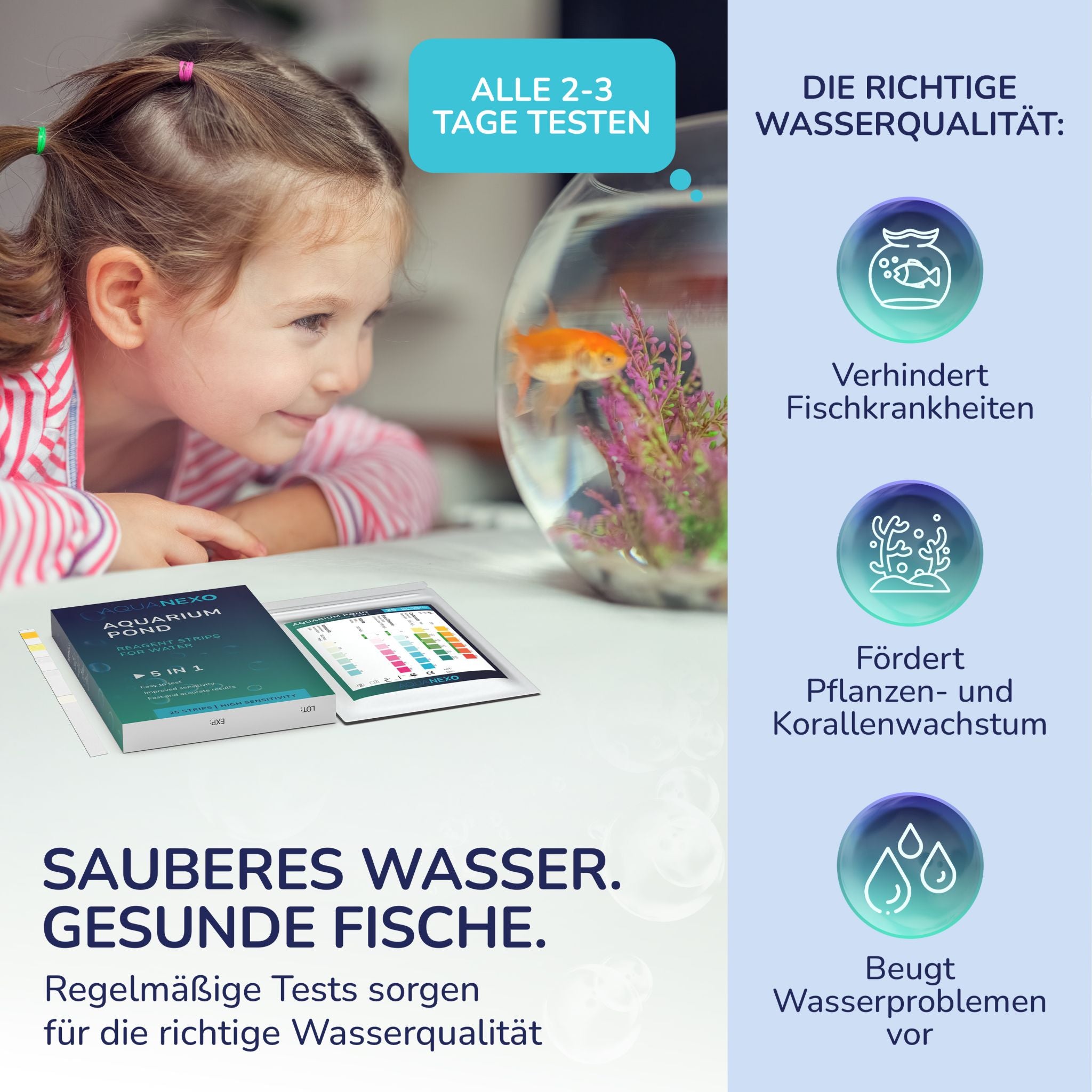 Sauberes Wasser, gesunde Fische – regelmäßige Tests alle 2–3 Tage