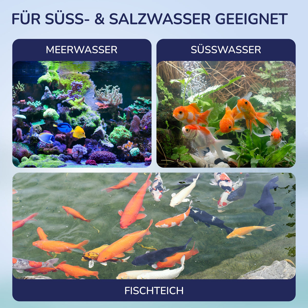 Für Süß- und Salzwasser geeignet: Meerwasser, Süßwasser-Aquarium und Fischteich