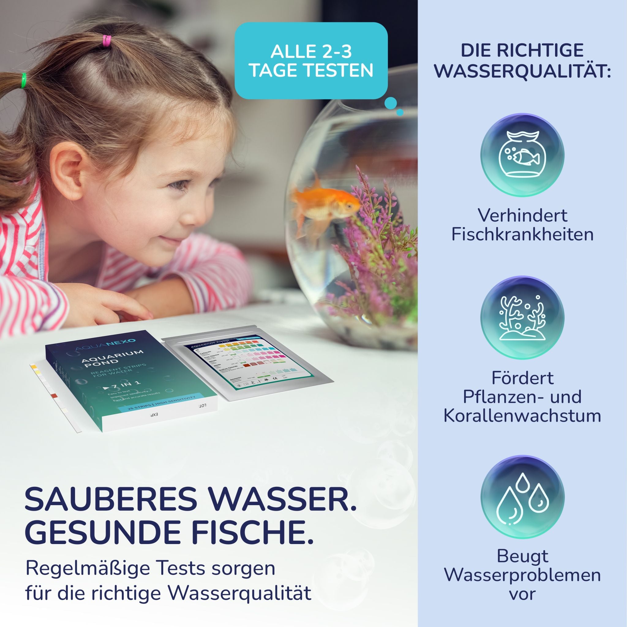 Sauberes Wasser, gesunde Fische – Kind beobachtet Aquarium, alle 2–3 Tage testen