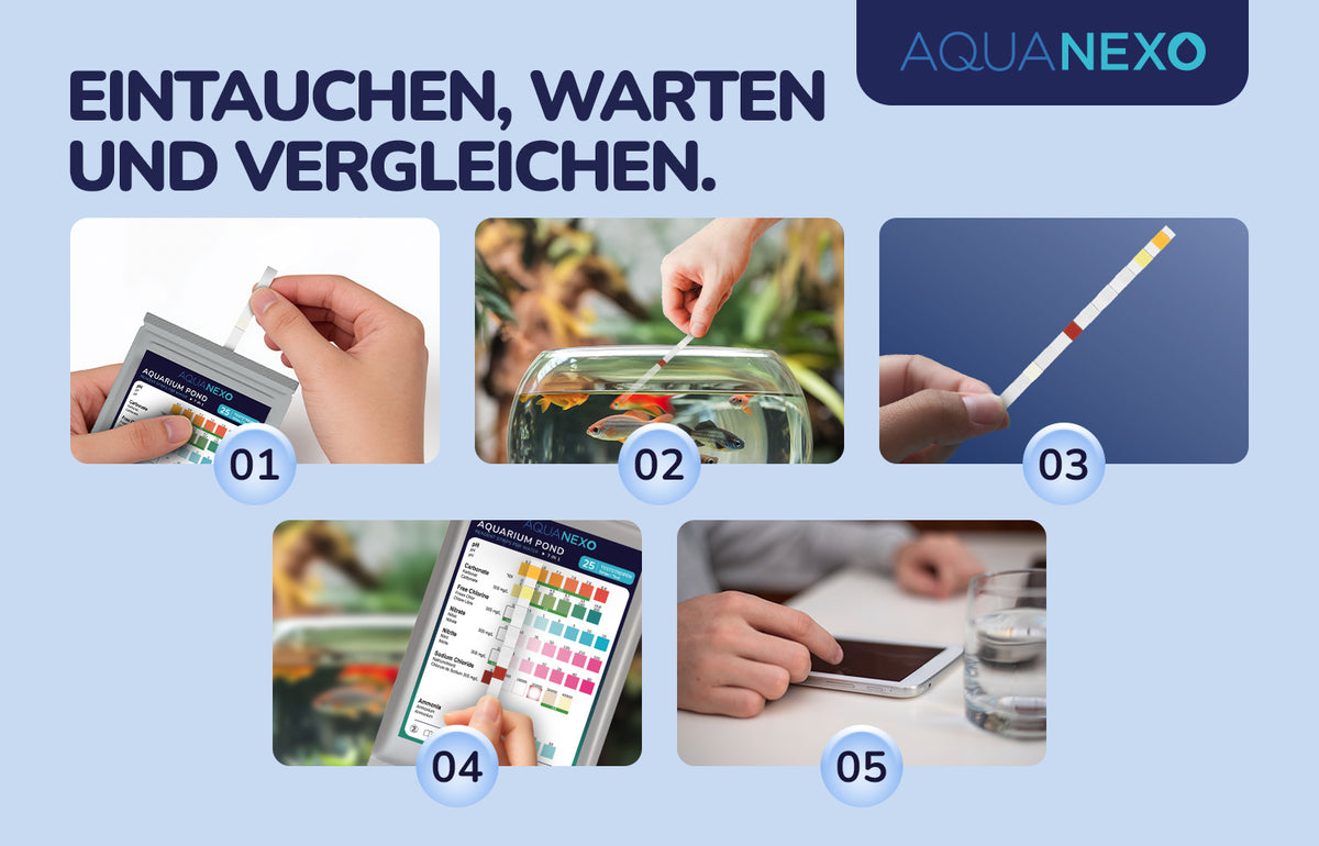 Aquariumwasser Teststreifen Anleitung – Aquanexo