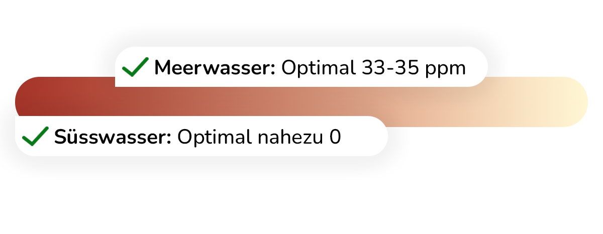Aquariumwasser Werte Natriumchlorid – Aquanexo